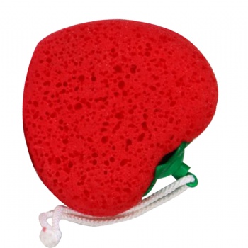 MAGIC Sponge sexy  brush